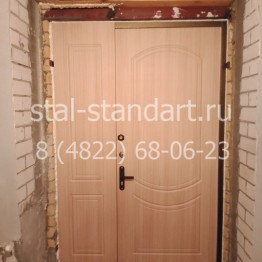 Металлическая дверь от компании "Сталь-Стандарт"